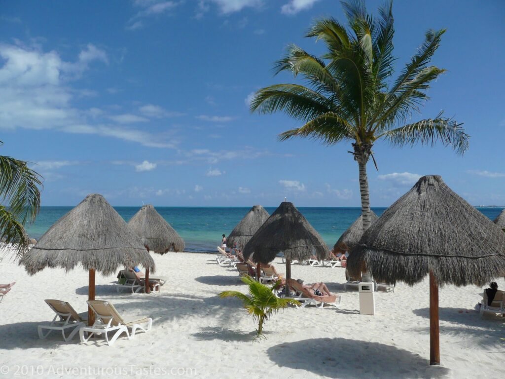 Beach with umbrellas and palm tree at Playa Mujeres resort in Mexico
