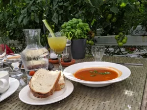 The unique Icelandic tomato soup restaurant you’ll fall in love with
