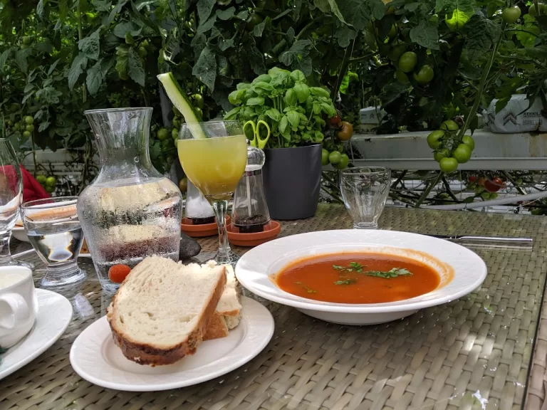 The unique Icelandic tomato soup restaurant you’ll fall in love with