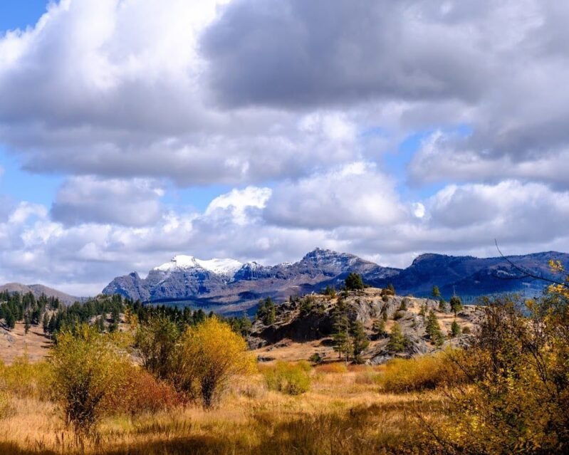 Hiking is a highlight of any Yellowstone itinerary. - Golden fields, mountains and blue skies on one of the best Yellowstone hikes - Slough Creek trail 