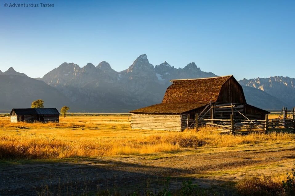 10 Spectacular Things to Do in Yellowstone & Grand Teton