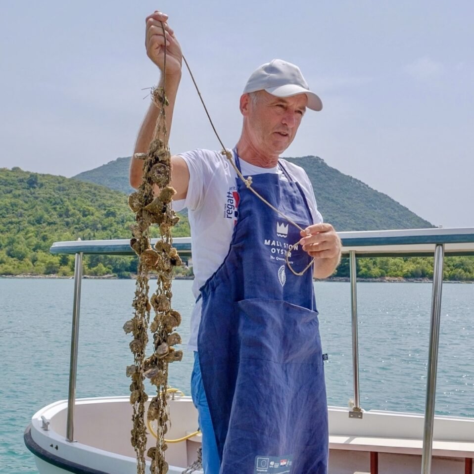 Man holding oysters string filled with oysters in Ston, Croatia