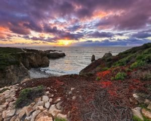 How to Plan 4 Days in Northern California with Kids: The Best Attractions, Restaurants, & More