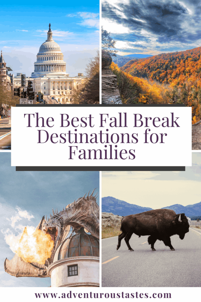The best fall break destinations for families - the capitol in Washington DC, fall foliage in the catskills, a fire breathing dragon at universal studios, a bison walking across the road in Yellowstone