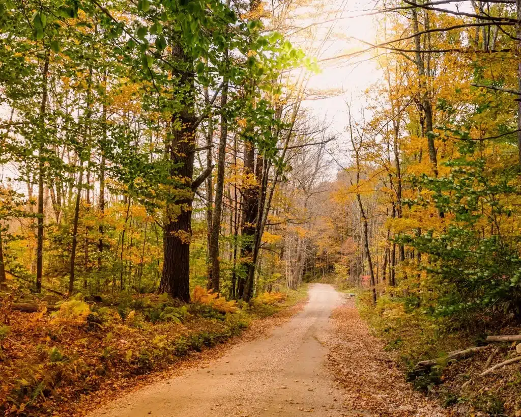 Beautiful fall colors on a country road in New England