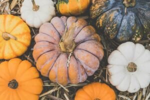 The Ultimate Guide to the Best Pumpkin Patches Near DC