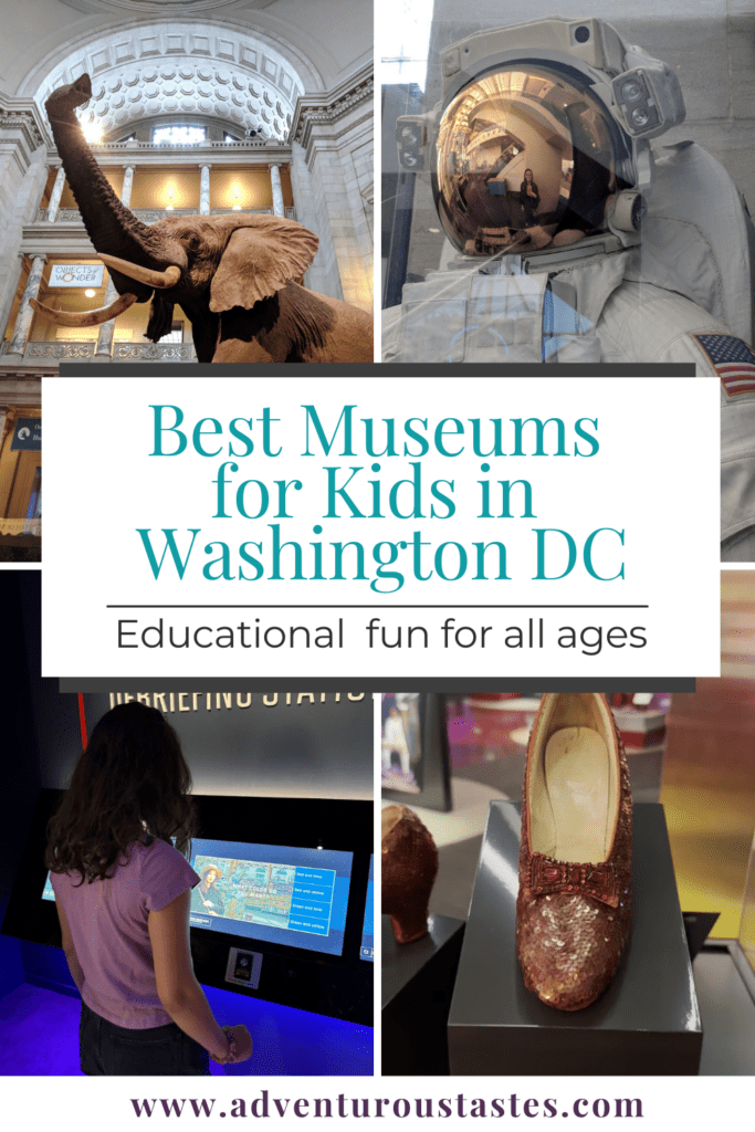 Best Museums for Kids in Washington DC | Educational Fun for All Ages

Images from the Smithsonian Natural History Museum Air & Space Museum, DC's Spy Museum and the American History Museum