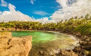 Tropical beach surrounded by palm trees with green water in Puerto Rico - perfect for a family spring break