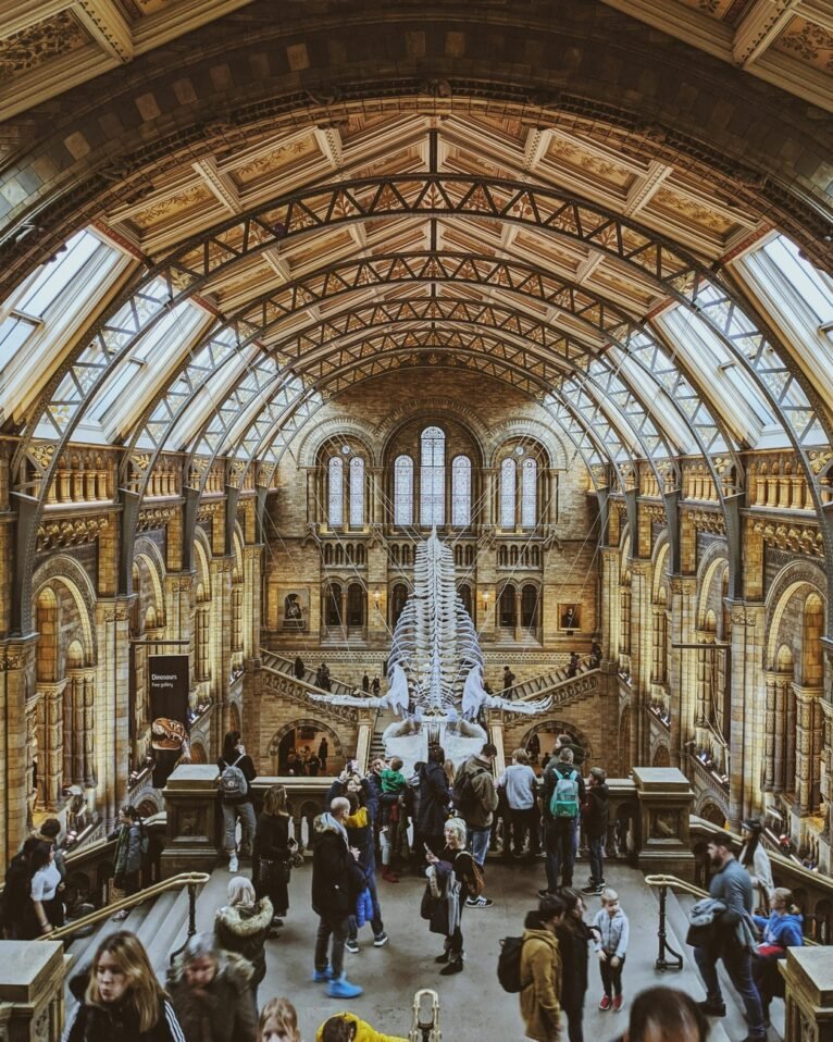 Natural History musem exhibits and crowds in London