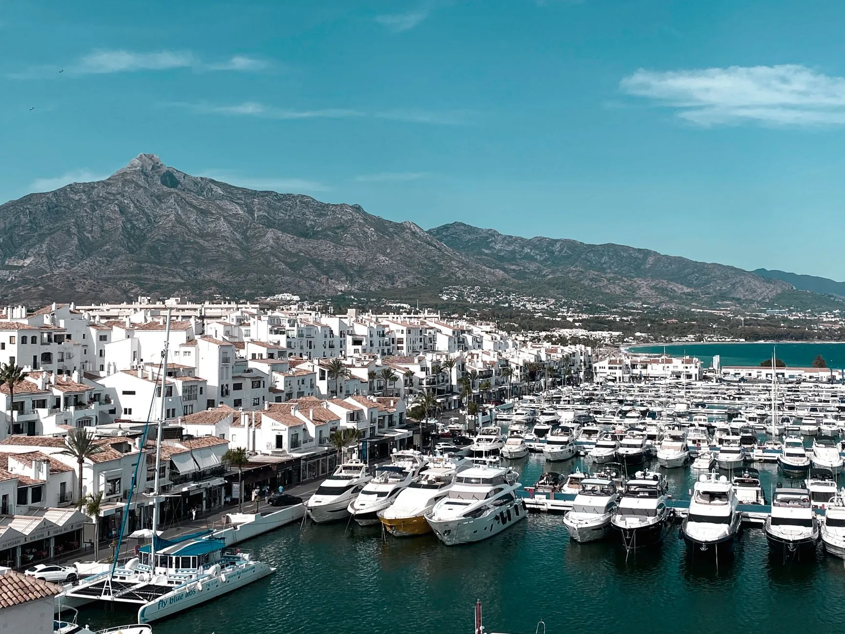 photograph of white boats near a town
